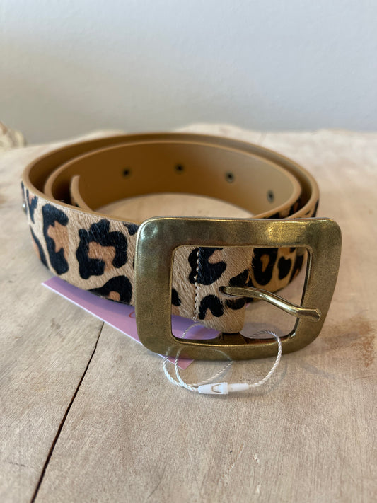 JANELLE BELT
